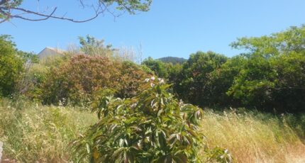 La Crau Terrain à bâtir - 2067987-11077annonce320250426bzE7O.jpeg Maisons France Confort