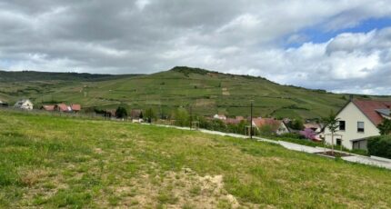 Soultzmatt Terrain à bâtir - 2049015-9613annonce120250113xuHEt.jpeg Maisons France Confort
