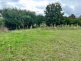 Maison à construire à Durrenentzen (68320) 2048979-9613annonce120240911A0M10.jpeg Maisons France Confort