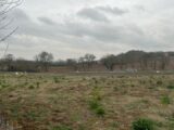 Maison à construire à Castelnau-de-Lévis (81150) 2106267-2684annonce120250314KxXV2.jpeg Maisons France Confort