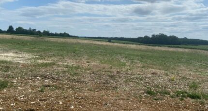 Cognac Terrain à bâtir - 2131986-11189annonce120250204BNwVr.jpeg Maisons France Confort