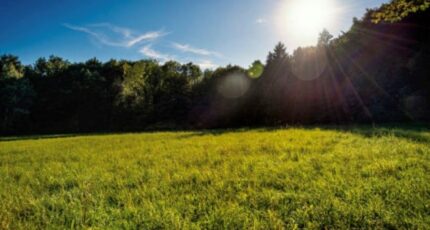 Preux-au-Sart Terrain à bâtir - 2131112-10617annonce120250411DZ2tk.jpeg Maisons France Confort