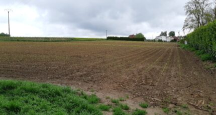 Saint-Hilaire-lez-Cambrai Terrain à bâtir - 2100739-10261annonce120240709NFOUC.jpeg Maisons France Confort