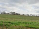 Maison à construire à Gardouch (31290) 2131186-10568annonce120250411hPQmq.jpeg Maisons France Confort