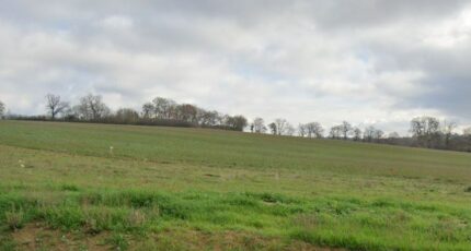 Gardouch Maison neuve - 2131186-10568annonce120250411hPQmq.jpeg Maisons France Confort