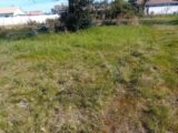 Terrain à bâtir à Gujan-Mestras (33470) 2132553-11244annonce120250414Fzdbn.jpeg Maisons France Confort