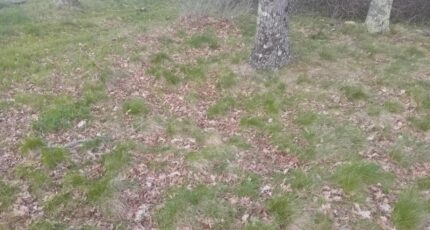 Gujan-Mestras Maison neuve - 2132573-11244annonce320250414eEmIw.jpeg Maisons France Confort