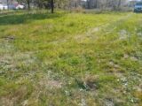 Terrain à bâtir à Biscarrosse (40600) 2132758-11244annonce120250414d9whz.jpeg Maisons France Confort