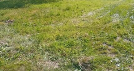 Biscarrosse Maison neuve - 2132759-11244annonce220250414P2uBT.jpeg Maisons France Confort