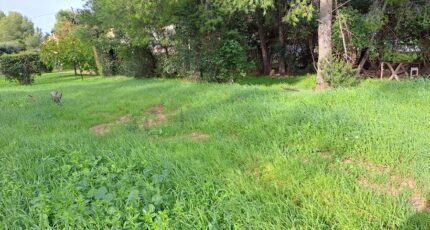 La Seyne-sur-Mer Maison neuve - 2132942-11041annonce220250415nNuDi.jpeg Maisons France Confort