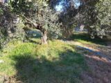 Maison neuve à Berre-l’Étang (13130) 2133026-11041annonce120250415lFy21.jpeg Maisons France Confort