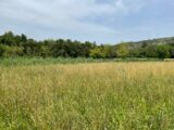Terrain à bâtir à Eyguières (13430) 2093486-3969annonce120250228FCxi9.jpeg Maisons France Confort