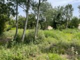 Terrain à bâtir à Eyguières (13430) 2093486-3969annonce420250228THfeO.jpeg Maisons France Confort