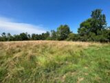 Terrain à bâtir à Confrançon (01310) 2075893-754annonce120250210JmsNA.jpeg Maisons France Confort