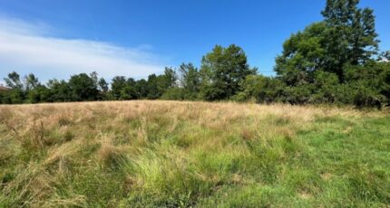 Confrançon Terrain à bâtir - 2075893-754annonce120250210JmsNA.jpeg Maisons France Confort