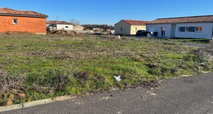 Lisle-sur-Tarn Terrain à bâtir - 2078817-2684annonce120250213FquxA.jpeg Maisons France Confort