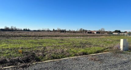 Lisle-sur-Tarn Terrain à bâtir - 2078817-2684annonce220250213LOowF.jpeg Maisons France Confort
