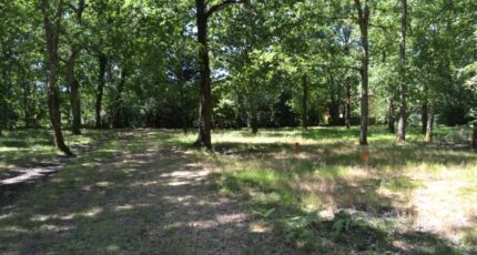 Audenge Terrain à bâtir - 2134013-10890annonce2202503170CCa2.jpeg Maisons France Confort
