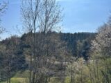 Terrain à bâtir à Bourbach-le-Haut (68290) 2133420-11139annonce120250415OKNkV.jpeg Maisons France Confort