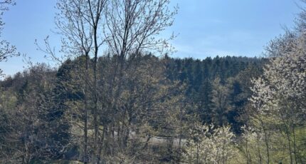 Bourbach-le-Haut Maison neuve - 2133960-11139annonce120250415OKNkV.jpeg Maisons France Confort