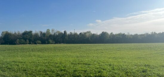 Terrain à bâtir à Montigny-Lencoup, Île-de-France