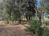 Terrain à bâtir à Le Verdon-sur-Mer (33123) 2132554-10624annonce120250414lLvq0.jpeg Maisons France Confort