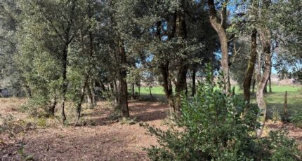 Le Verdon-sur-Mer Terrain à bâtir - 2132554-10624annonce120250414lLvq0.jpeg Maisons France Confort