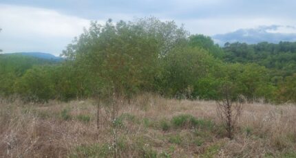 Varages Terrain à bâtir - 2134291-9879annonce1202504161rlvT.jpeg Maisons France Confort