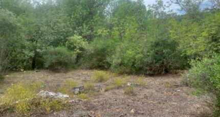 Varages Terrain à bâtir - 2134291-9879annonce220250416xOXRW.jpeg Maisons France Confort