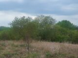 Terrain à bâtir à Varages (83670) 2134291-9879annonce420250416vw81F.jpeg Maisons France Confort