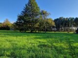 Terrain à bâtir à Uzeste (33730) 2134415-10677annonce120250416mWhJD.jpeg Maisons France Confort