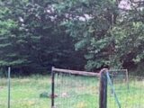 Terrain à bâtir à Souppes-sur-Loing (77460) 2134262-1635annonce12025041652Cc7.jpeg Maisons France Confort