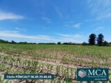 Terrain à bâtir à Mugron (40250) 2112724-5828annonce120250320EzCxy.jpeg Maisons France Confort