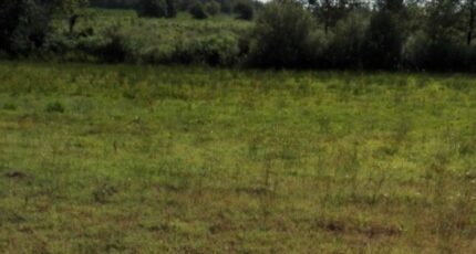 Sort-en-Chalosse Terrain à bâtir - 2112923-5828annonce1202503208h7yR.jpeg Maisons France Confort