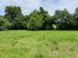 Terrain à bâtir à Bourg (33710) 2134757-10331annonce120240902Rrgpx.jpeg Maisons France Confort