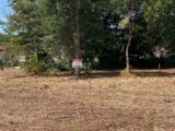 Maison à construire à Mimizan (40200) 2134766-10331annonce120241021l6hJe.jpeg Maisons France Confort