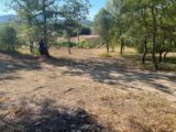 Maison à construire à Pierrefeu-du-Var (83390) 2076668-9599annonce120250417wlliv.jpeg Maisons France Confort