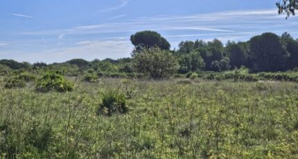 Puget-sur-Argens Maison neuve - 2135055-5163annonce4202502204Sf3S.jpeg Maisons France Confort