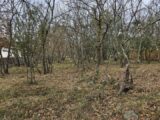 Terrain à bâtir à Trans-en-Provence (83720) 2134984-5163annonce120250417nqx4U.jpeg Maisons France Confort