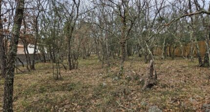 Trans-en-Provence Terrain à bâtir - 2134984-5163annonce120250417nqx4U.jpeg Maisons France Confort