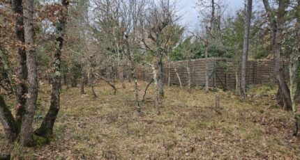 Trans-en-Provence Terrain à bâtir - 2134984-5163annonce220250417p2lvD.jpeg Maisons France Confort