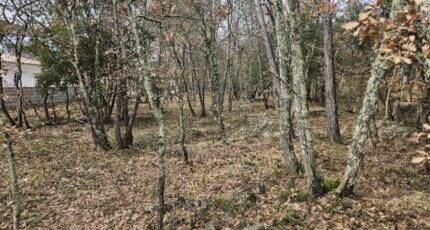 Trans-en-Provence Terrain à bâtir - 2134984-5163annonce320250417PT8bO.jpeg Maisons France Confort