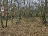 Terrain à bâtir à Trans-en-Provence (83720) 2134984-5163annonce420250417Ct6VU.jpeg Maisons France Confort