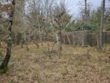 Maison à construire à Trans-en-Provence (83720) 2135030-5163annonce220250417p2lvD.jpeg Maisons France Confort