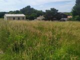 Maison à construire à Baigneaux (33760) 2135003-11141annonce1202504170nktF.jpeg Maisons France Confort