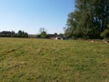 Maison à construire à Dénestanville (76590) 2135549-4093annonce120250417qXn0k.jpeg Maisons France Confort