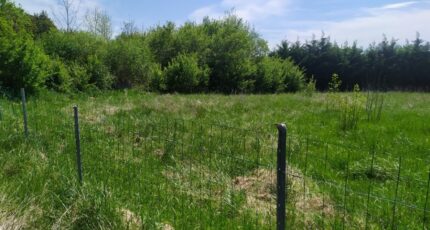 Saint-Martial Terrain à bâtir - 2135695-11141annonce120250417rJx0X.jpeg Maisons France Confort