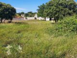 Terrain à bâtir à Jonquerettes (84450) 2135704-695annonce120250417Pe2qD.jpeg Maisons France Confort