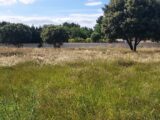 Terrain à bâtir à Jonquerettes (84450) 2135704-695annonce220250417xU54C.jpeg Maisons France Confort