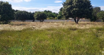 Jonquerettes Terrain à bâtir - 2135704-695annonce220250417xU54C.jpeg Maisons France Confort
